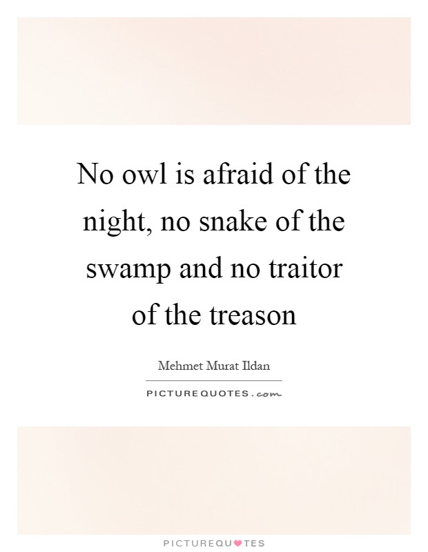 No owl is afraid of the night, no snake of the swamp and no traitor of the treason Picture Quote #1