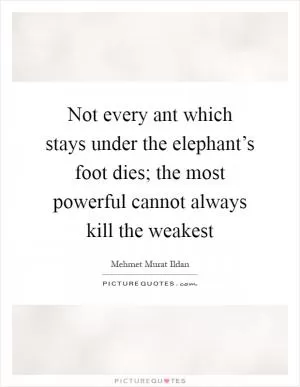 Not every ant which stays under the elephant’s foot dies; the most powerful cannot always kill the weakest Picture Quote #1