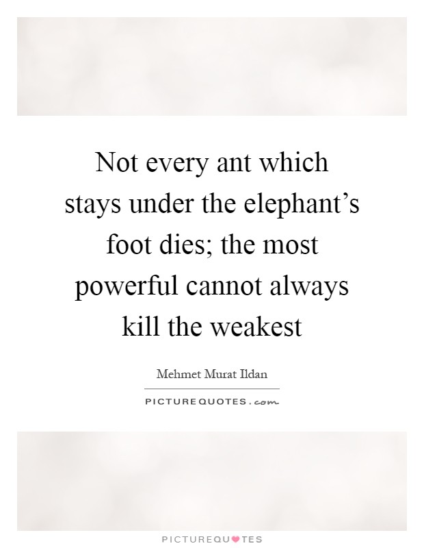 Not every ant which stays under the elephant's foot dies; the most powerful cannot always kill the weakest Picture Quote #1