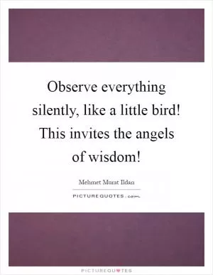 Observe everything silently, like a little bird! This invites the angels of wisdom! Picture Quote #1