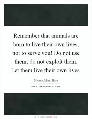 Remember that animals are born to live their own lives, not to serve you! Do not use them; do not exploit them. Let them live their own lives Picture Quote #1