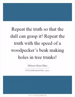 Repeat the truth so that the dull can grasp it! Repeat the truth with the speed of a woodpecker’s beak making holes in tree trunks! Picture Quote #1
