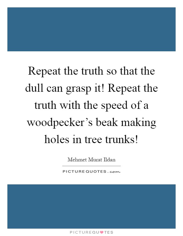 Repeat the truth so that the dull can grasp it! Repeat the truth with the speed of a woodpecker's beak making holes in tree trunks! Picture Quote #1