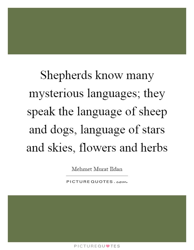 Shepherds know many mysterious languages; they speak the language of sheep and dogs, language of stars and skies, flowers and herbs Picture Quote #1