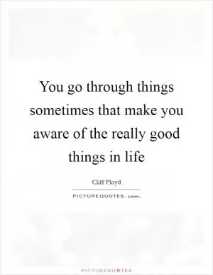 You go through things sometimes that make you aware of the really good things in life Picture Quote #1