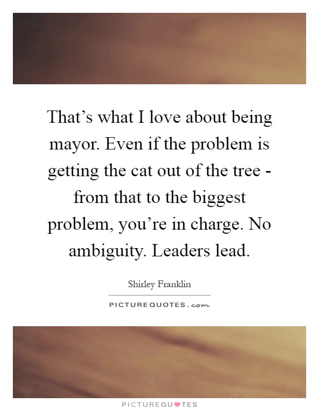 That's what I love about being mayor. Even if the problem is getting the cat out of the tree - from that to the biggest problem, you're in charge. No ambiguity. Leaders lead Picture Quote #1