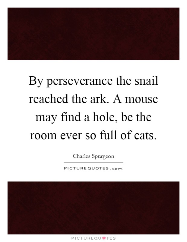 By perseverance the snail reached the ark. A mouse may find a hole, be the room ever so full of cats Picture Quote #1