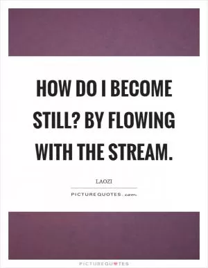 How do I become still? By flowing with the stream Picture Quote #1