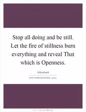 Stop all doing and be still. Let the fire of stillness burn everything and reveal That which is Openness Picture Quote #1