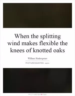 When the splitting wind makes flexible the knees of knotted oaks Picture Quote #1