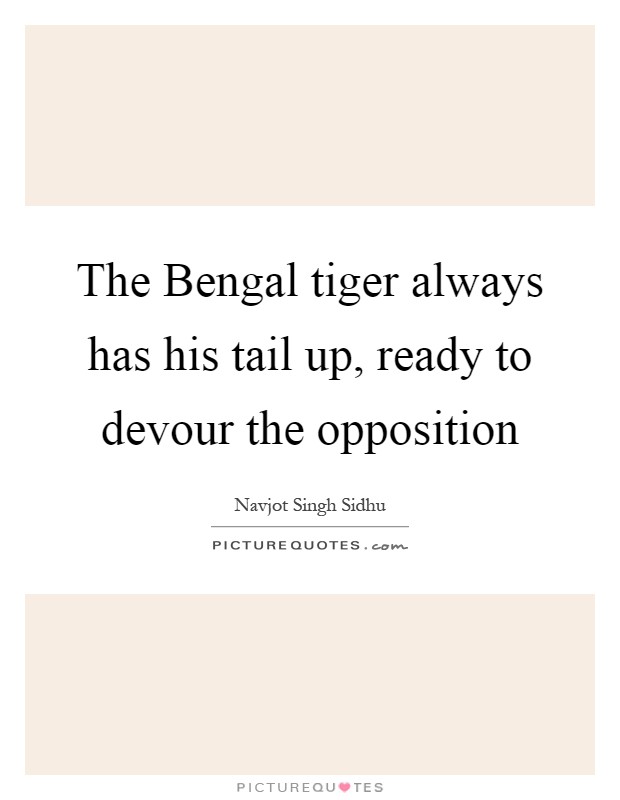 The Bengal tiger always has his tail up, ready to devour the opposition Picture Quote #1