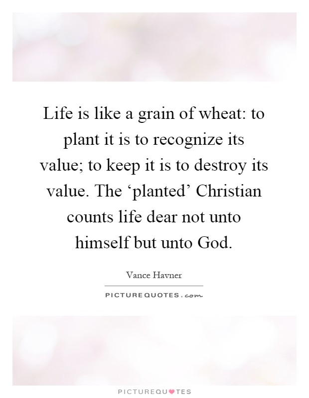 Life is like a grain of wheat: to plant it is to recognize its value; to keep it is to destroy its value. The ‘planted' Christian counts life dear not unto himself but unto God Picture Quote #1