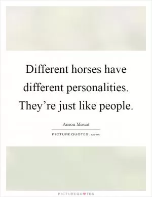 Different horses have different personalities. They’re just like people Picture Quote #1