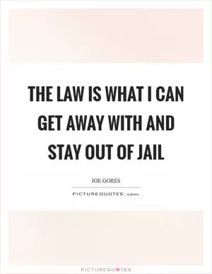 The law is what I can get away with and stay out of jail Picture Quote #1