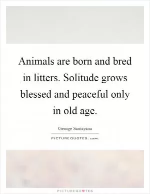 Animals are born and bred in litters. Solitude grows blessed and peaceful only in old age Picture Quote #1