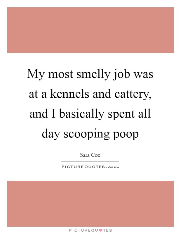 My most smelly job was at a kennels and cattery, and I basically spent all day scooping poop Picture Quote #1