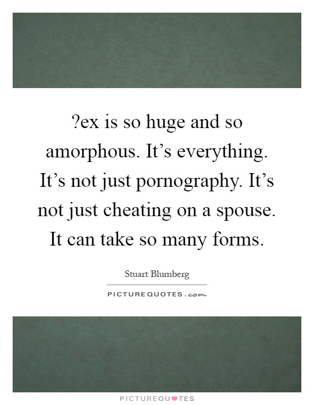 ?ex is so huge and so amorphous. It's everything. It's not just pornography. It's not just cheating on a spouse. It can take so many forms Picture Quote #1