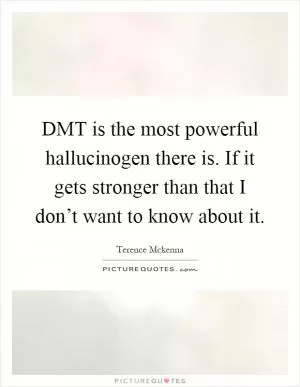 DMT is the most powerful hallucinogen there is. If it gets stronger than that I don’t want to know about it Picture Quote #1