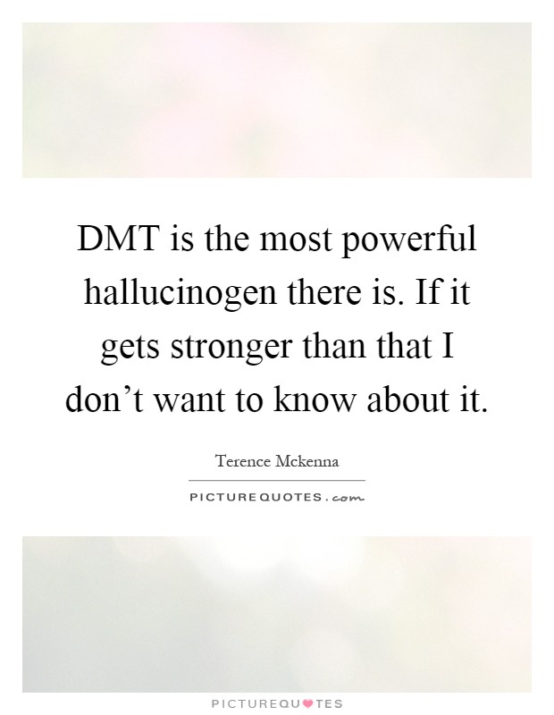 DMT is the most powerful hallucinogen there is. If it gets stronger than that I don't want to know about it Picture Quote #1