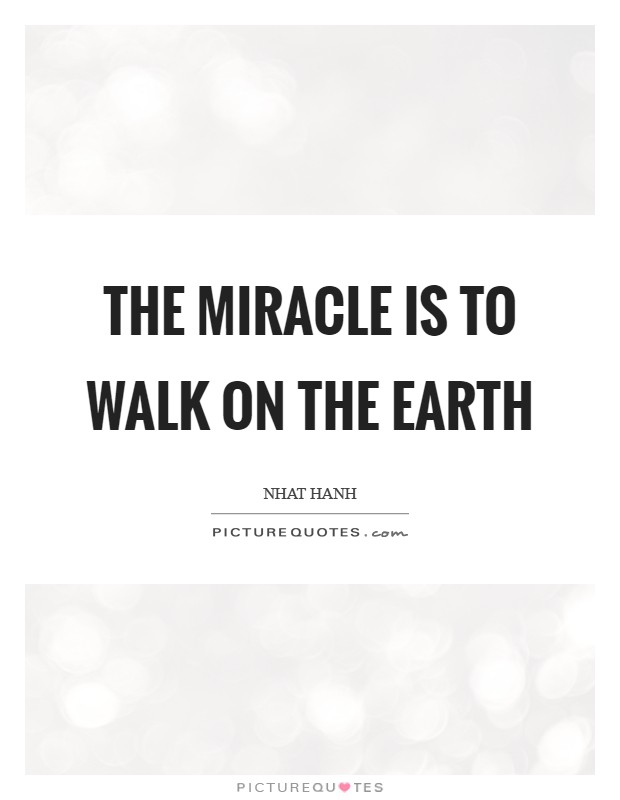 The miracle is to walk on the earth Picture Quote #1