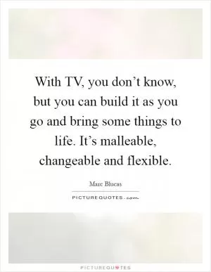 With TV, you don’t know, but you can build it as you go and bring some things to life. It’s malleable, changeable and flexible Picture Quote #1