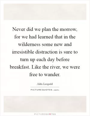 Never did we plan the morrow, for we had learned that in the wilderness some new and irresistible distraction is sure to turn up each day before breakfast. Like the river, we were free to wander Picture Quote #1