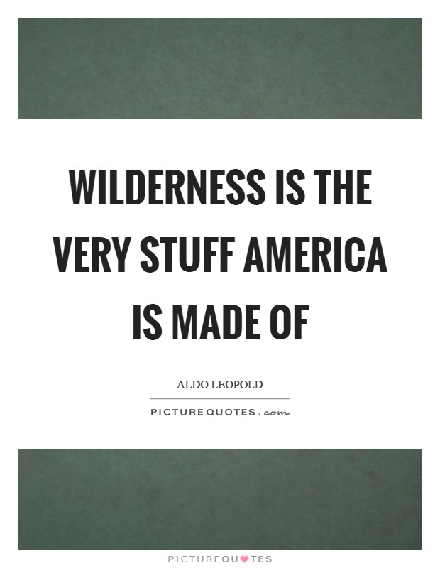 Wilderness is the very stuff America is made of Picture Quote #1