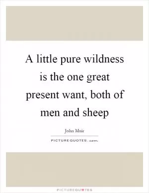 A little pure wildness is the one great present want, both of men and sheep Picture Quote #1