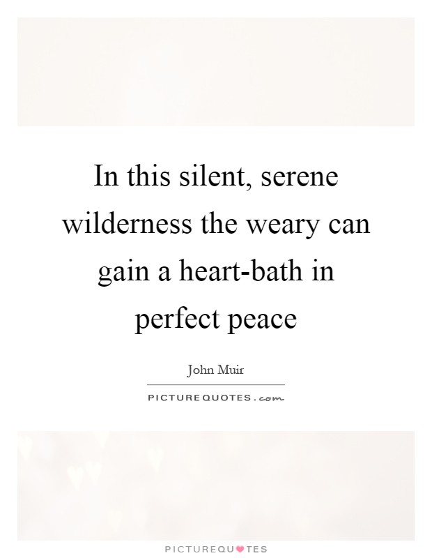 In this silent, serene wilderness the weary can gain a heart-bath in perfect peace Picture Quote #1