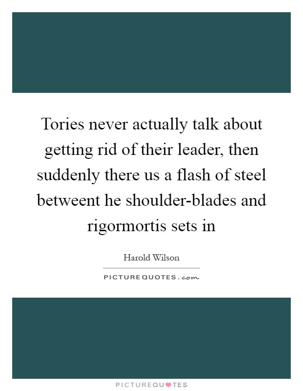 Tories never actually talk about getting rid of their leader, then suddenly there us a flash of steel betweent he shoulder-blades and rigormortis sets in Picture Quote #1