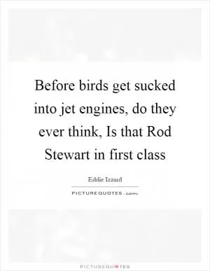 Before birds get sucked into jet engines, do they ever think, Is that Rod Stewart in first class Picture Quote #1
