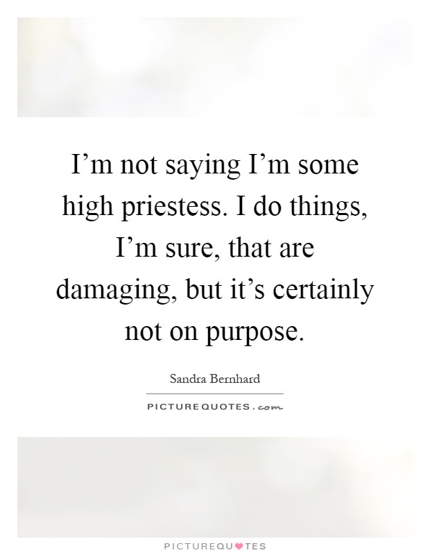 I'm not saying I'm some high priestess. I do things, I'm sure, that are damaging, but it's certainly not on purpose Picture Quote #1
