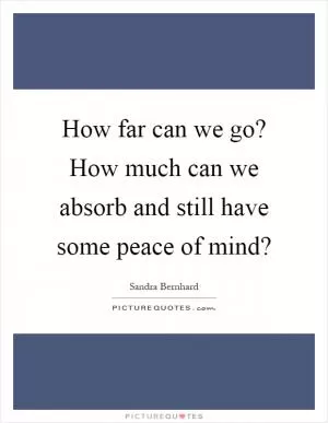 How far can we go? How much can we absorb and still have some peace of mind? Picture Quote #1