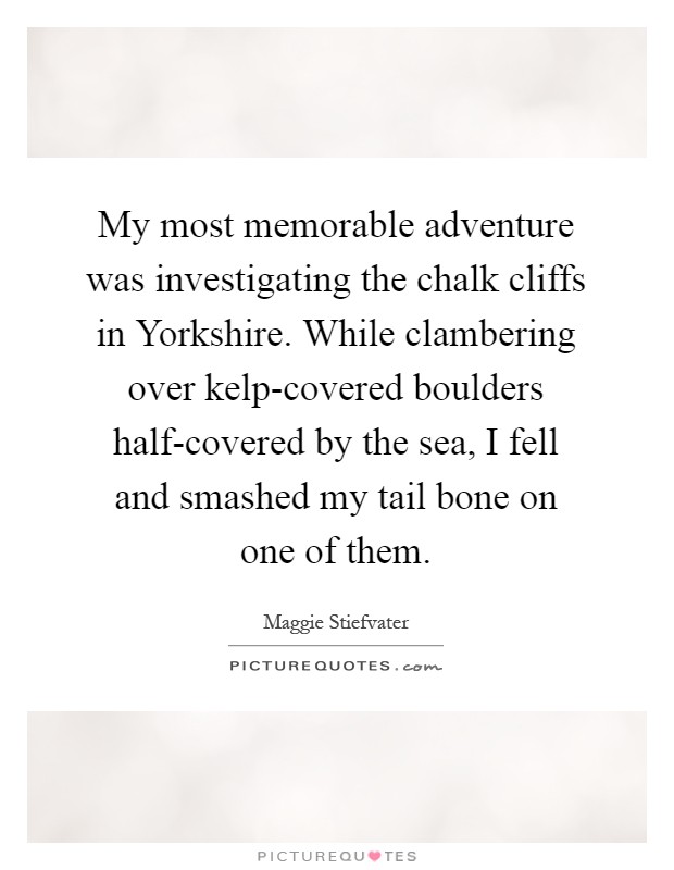 My most memorable adventure was investigating the chalk cliffs in Yorkshire. While clambering over kelp-covered boulders half-covered by the sea, I fell and smashed my tail bone on one of them Picture Quote #1