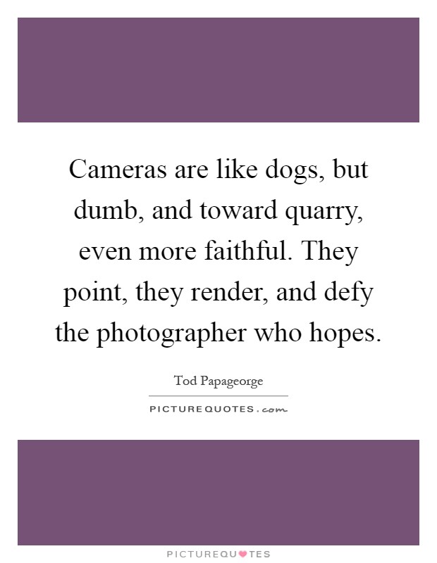 Cameras are like dogs, but dumb, and toward quarry, even more faithful. They point, they render, and defy the photographer who hopes Picture Quote #1