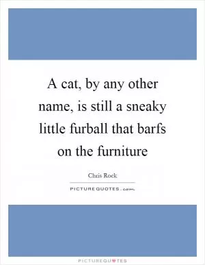 A cat, by any other name, is still a sneaky little furball that barfs on the furniture Picture Quote #1