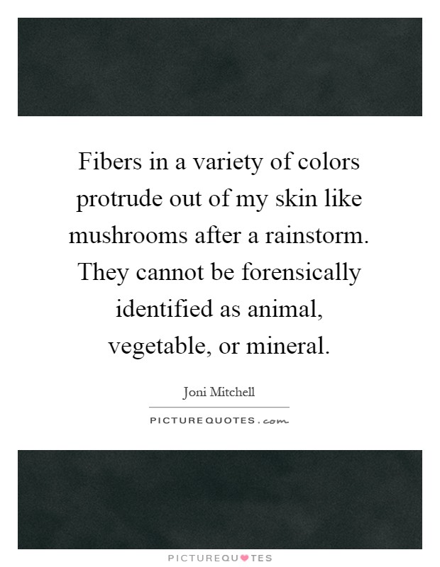 Fibers in a variety of colors protrude out of my skin like mushrooms after a rainstorm. They cannot be forensically identified as animal, vegetable, or mineral Picture Quote #1