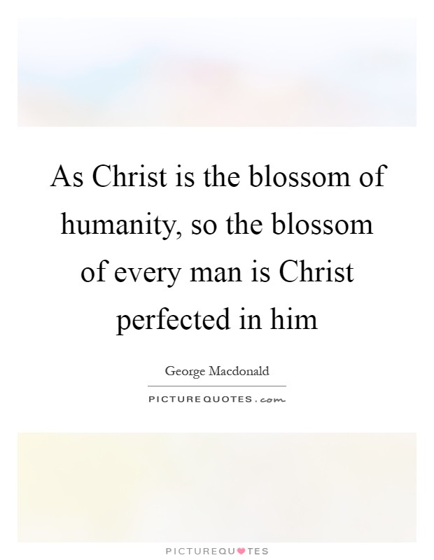 As Christ is the blossom of humanity, so the blossom of every man is Christ perfected in him Picture Quote #1