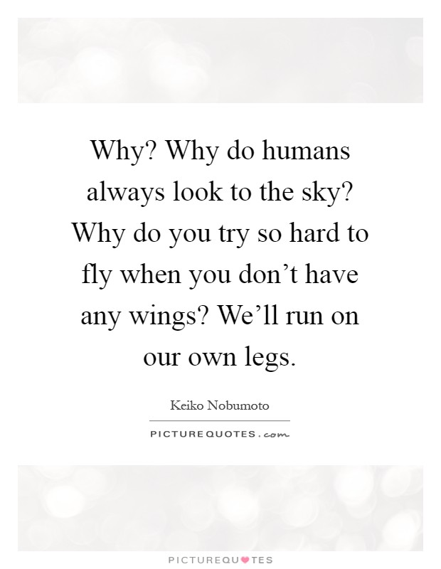 Why? Why do humans always look to the sky? Why do you try so hard to fly when you don't have any wings? We'll run on our own legs Picture Quote #1
