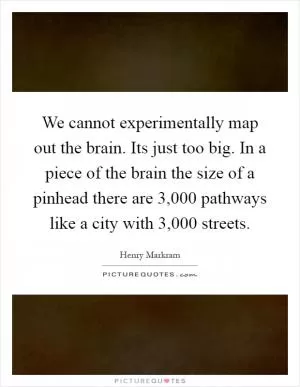 We cannot experimentally map out the brain. Its just too big. In a piece of the brain the size of a pinhead there are 3,000 pathways like a city with 3,000 streets Picture Quote #1