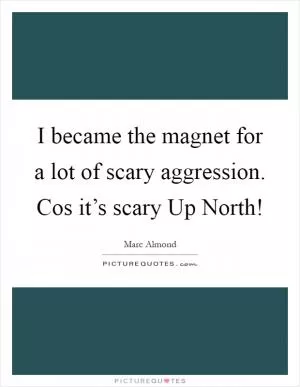 I became the magnet for a lot of scary aggression. Cos it’s scary Up North! Picture Quote #1