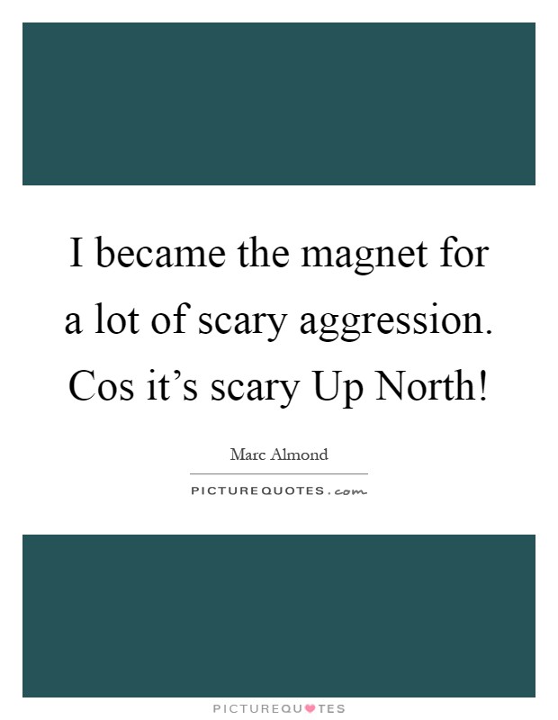 I became the magnet for a lot of scary aggression. Cos it's scary Up North! Picture Quote #1