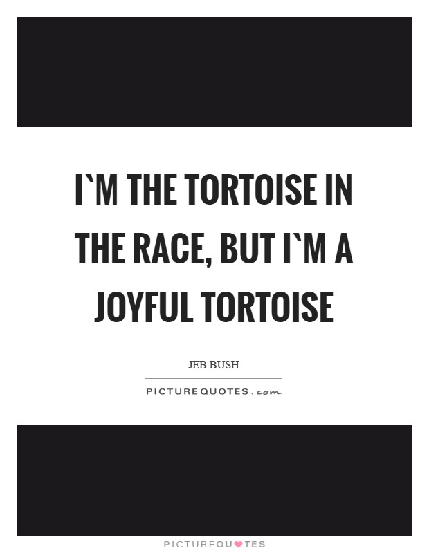 I`m the tortoise in the race, but I`m a joyful tortoise Picture Quote #1