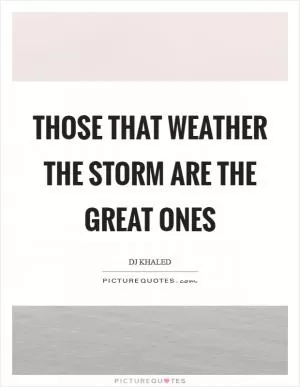 Those that weather the storm are the great ones Picture Quote #1