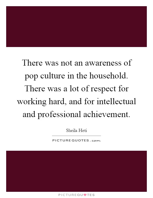 There was not an awareness of pop culture in the household. There was a lot of respect for working hard, and for intellectual and professional achievement Picture Quote #1