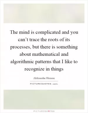 The mind is complicated and you can’t trace the roots of its processes, but there is something about mathematical and algorithmic patterns that I like to recognize in things Picture Quote #1