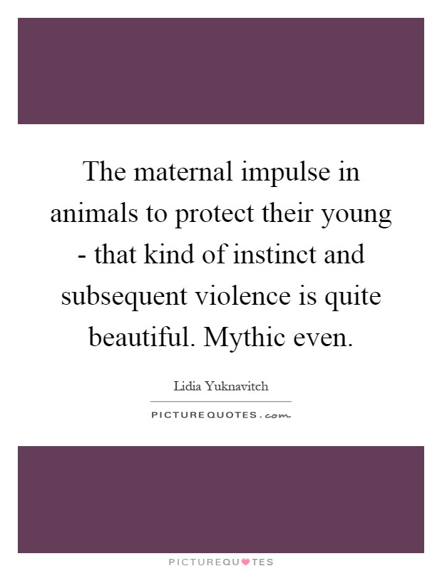 The maternal impulse in animals to protect their young - that kind of instinct and subsequent violence is quite beautiful. Mythic even Picture Quote #1