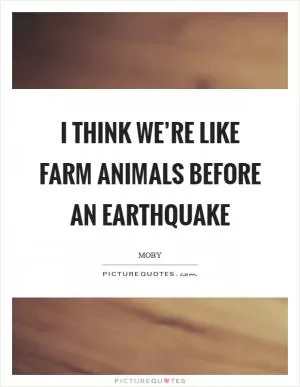 I think we’re like farm animals before an earthquake Picture Quote #1