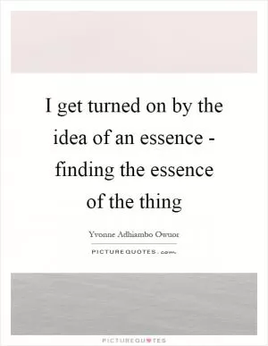 I get turned on by the idea of an essence - finding the essence of the thing Picture Quote #1
