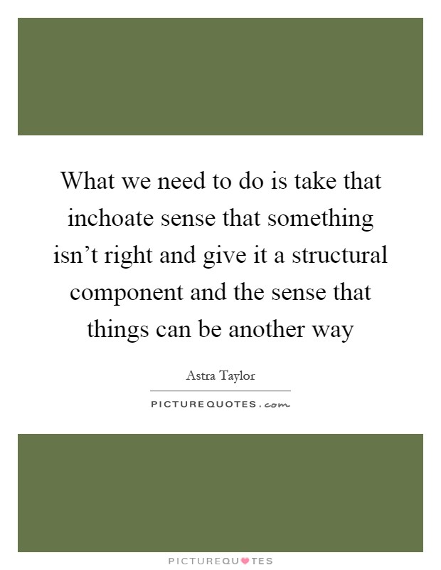 What we need to do is take that inchoate sense that something isn't right and give it a structural component and the sense that things can be another way Picture Quote #1